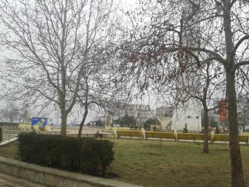 Temperaturi de primăvară, în zilele următoare, în Dobrogea